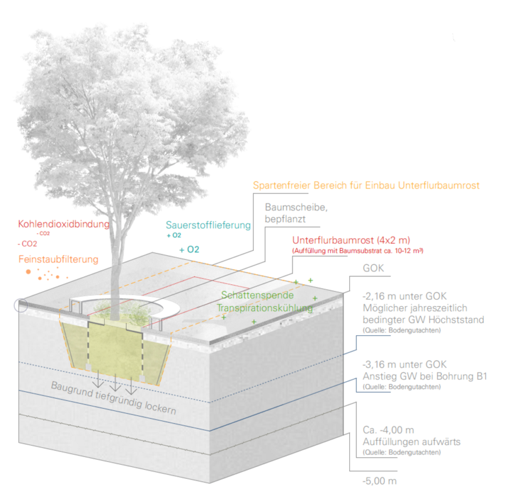 Klimabäume sorgen für gute Luft