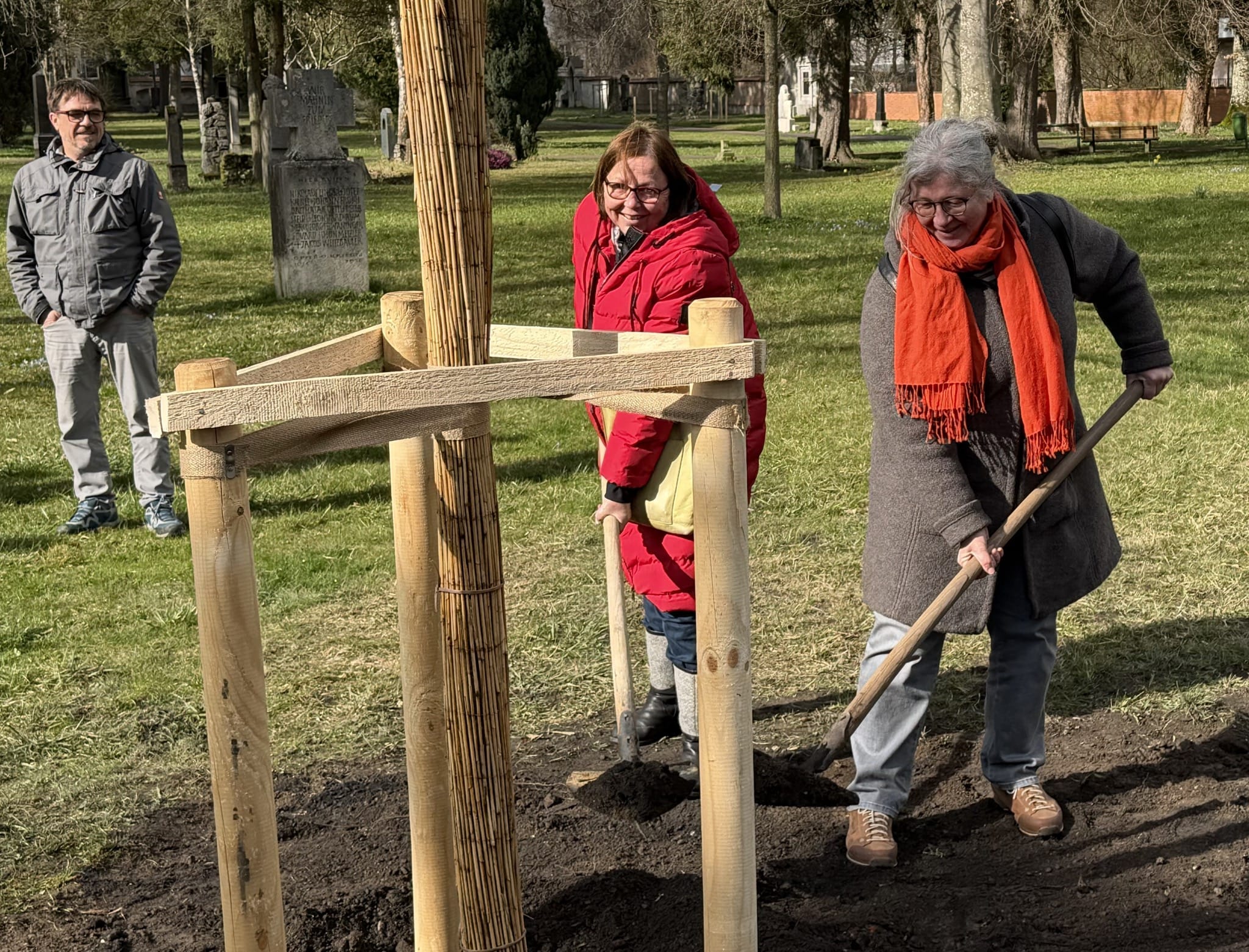 Unser Klimabaum 2026